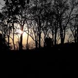 Tramonto Heredia - Aurinko puiden välillä